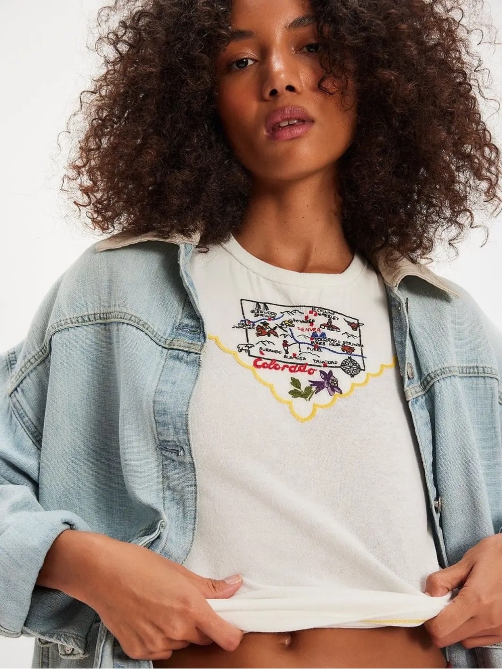 Free People We The Free Wild Country Embroidered Tee Colorado Combo Size M